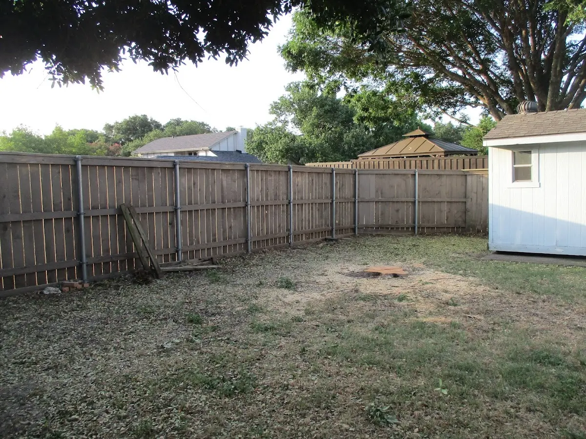 Cleared yard after professional tree removal in Union Springs
