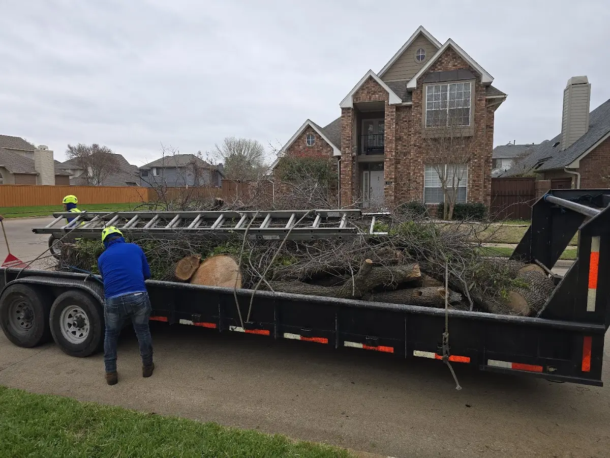 Expert Crown Reduction with proper safety equipment in Union Springs